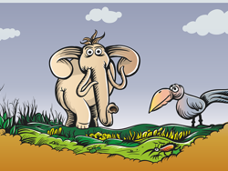 Where do Animals live
