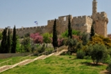 תנ"ך בחרוזים – ירושלים הופכת לבירת ישראל (כיתות ג-ו)