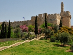 ממצאים חדשים מימי דוד ושלמה