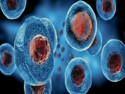  trough the virtual cell