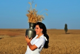 מגילת רות – בריינפופ