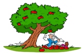 כוחות ופעולתם על גופים