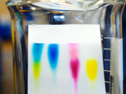 Chromatography