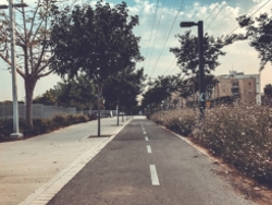 ראשון לציון בשנת 1913