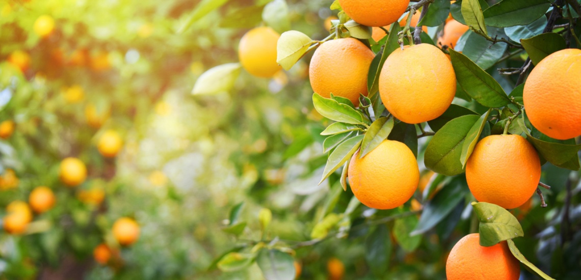 orange.jpg