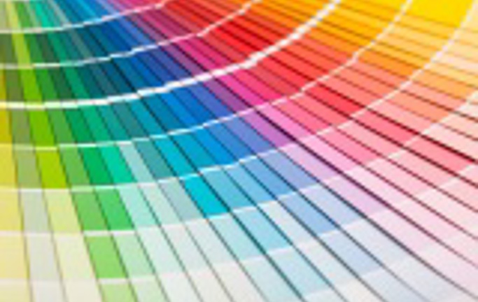 Colors for Kids: video with Steve and Maggie