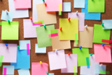 Word Walls - International TEFL Academy