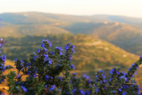 נחל אלון – חניון האגם