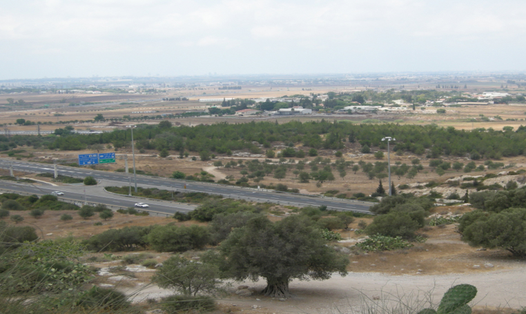 תל חדיד – אתר הנצחה