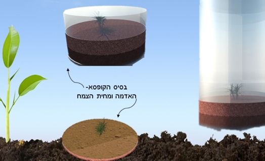 קוליברי- יוצאים מחוץ לקופסת הספינדל