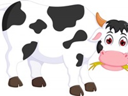 The Animals On The Farm 