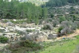 נחל שורק – עין חנדק