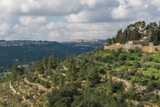 עין חנדק – מנזר יוחנן במדבר – עיינות סטף