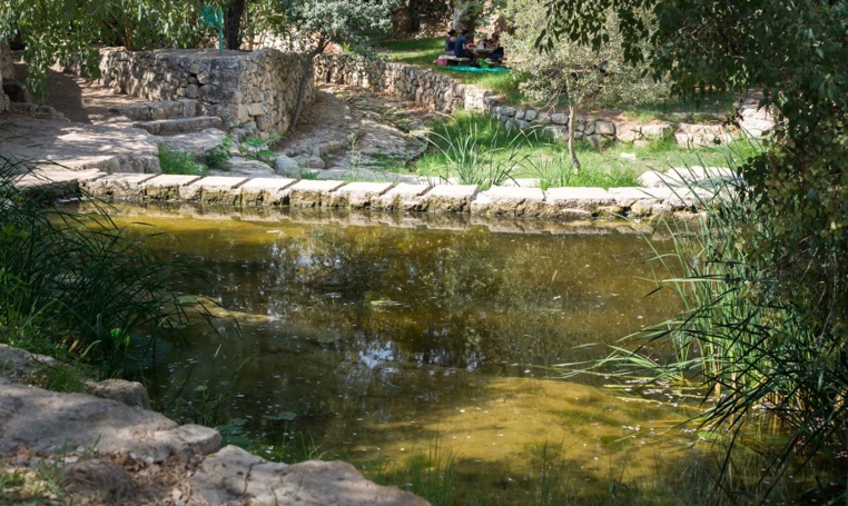 עין צובה – עין ביכורה