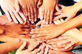 Unity in Diversity