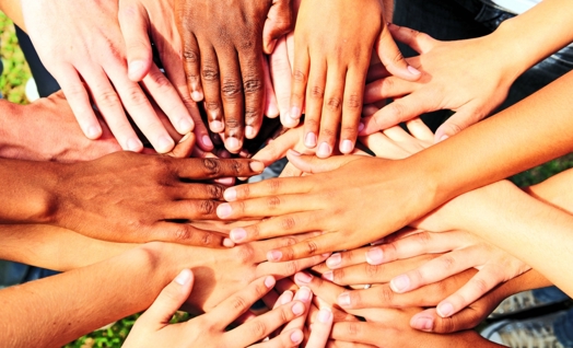 Unity in Diversity