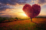 One Love