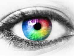 Human Eye