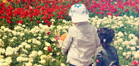אוגדן: "אוספים חוויות"