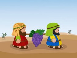 במדבר יד-יח, 929