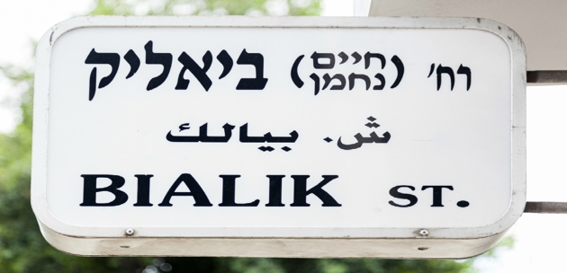 ספרות ממלכתי, חטיבה עליונה