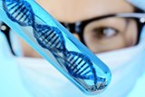  learn genetics - אתר באנגלית עם אנימציות בנושא מבנה התא ועוד
