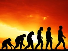 עובדות על אבולוציה