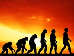 טקסונומיה בראיה אבולוציונית