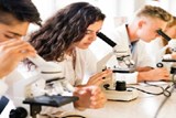 מדענים מספרים הבחירה ללמוד ביולוגיה