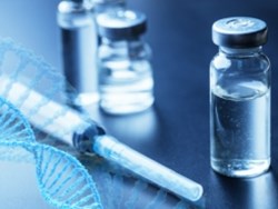 ייצור נוגדנים ופעילותם