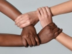 למה לבנ"א אין פרווה