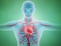 מורכבות מערכת החיסון