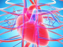 Coronary Heart Disease Animation