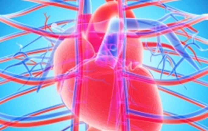 Coronary Heart Disease Animation