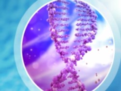 ילד הבועה (להאזנה)