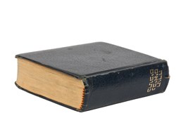 הרצאת פרופ' אלכסנדר רופא