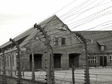 משפט אייכמן - עיצוב זכרון השואה