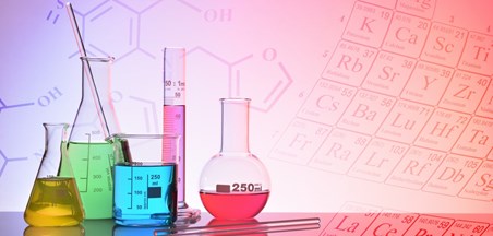 מחקר פיזה 2022