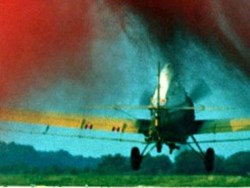 זאפ: הדגמות אוויר