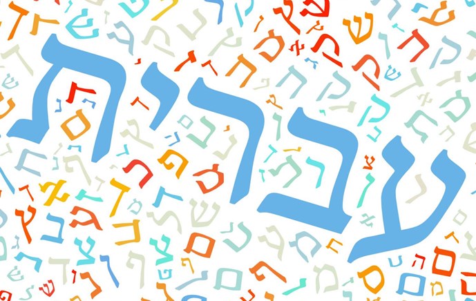 כללי