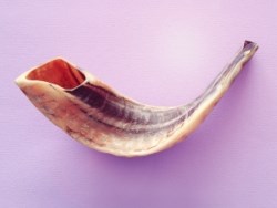 על יעלים ועל שופרות