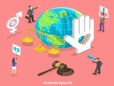 זכויות האדם, אנימציה