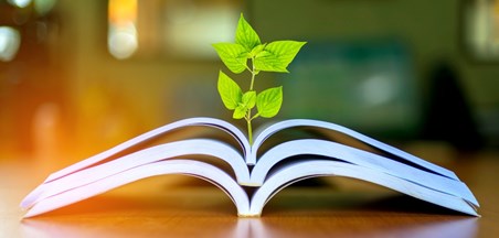 הוראת קריאה וקידום שטף הקריאה