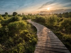 תריץ לאחור – ש"י עגנון