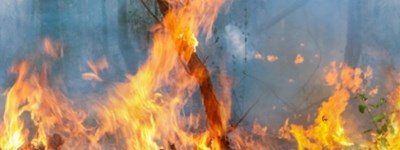 שריפות יער באמזונס