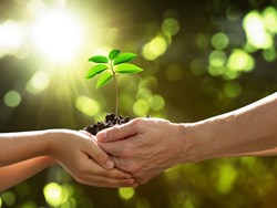 עץ החיים, מכון דוידסון