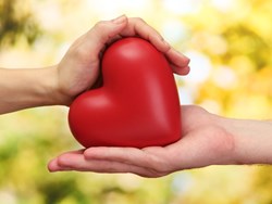 על יסודי, עברית