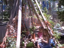 מרחבי רוגע ופעילות בגן