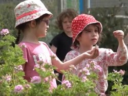 ליקוט ובישול בטבע