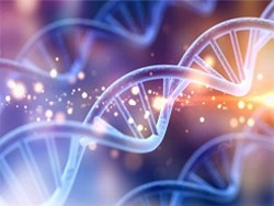 DNA ו-RNA